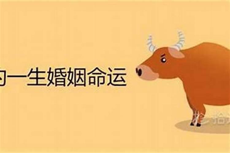 桓台县美食是什么