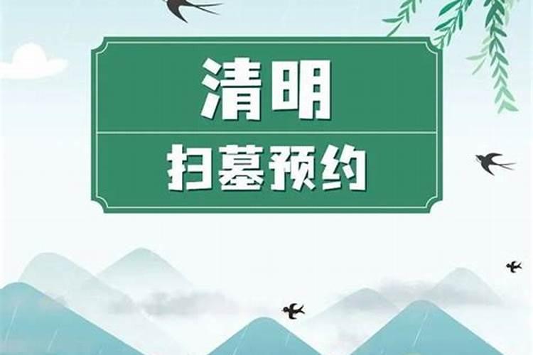 淆明扫墓的需要办理网上预约吗