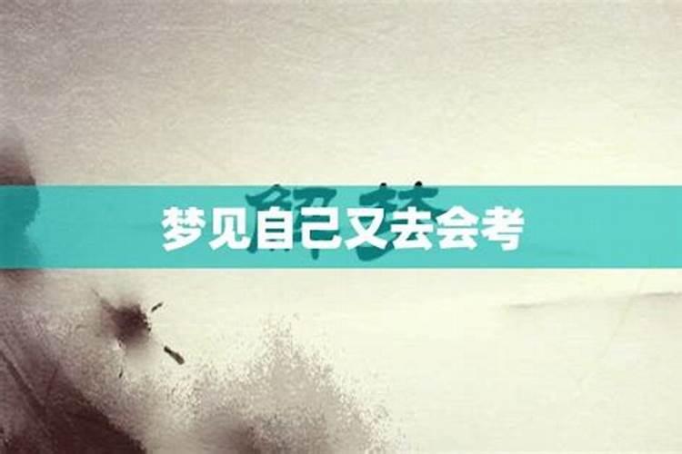 城市公共交通的期刊