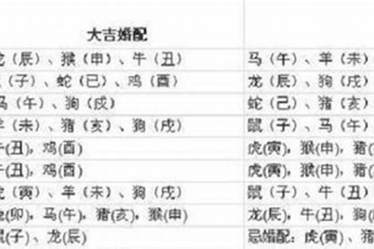 1997年牛最佳配偶属相