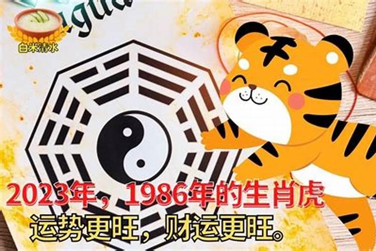 86年虎什么时候转大运
