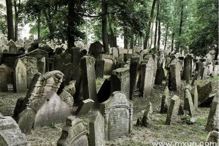梦见很多死人是什么预兆