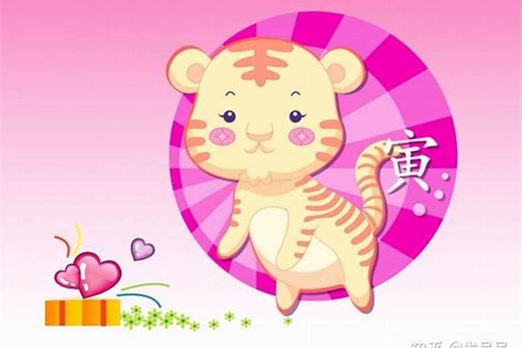 虎年冬至出生的男孩