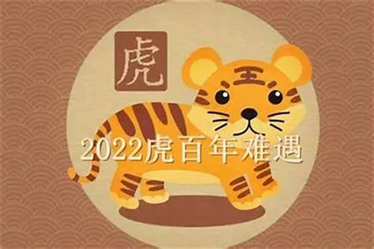 生肖属兔逐年运势