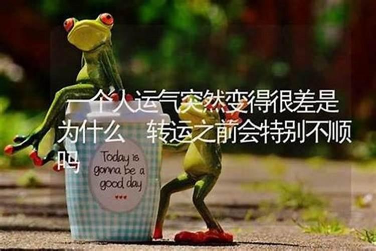 火兔2024年本命年 1987属兔36岁后有十年大运