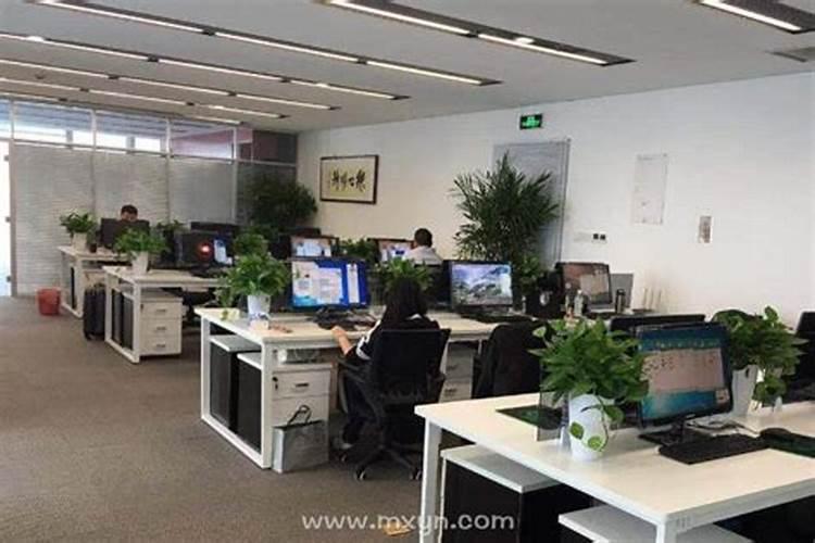 重阳节都有哪些风俗活动