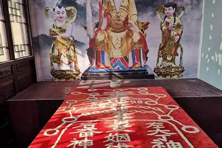属马的几月出生命运最差？？