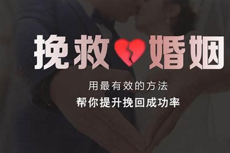 九月出生属马人的运势