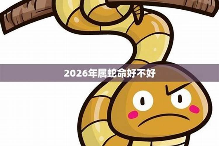 2025年农历六月出生的蛇宝宝命运如何