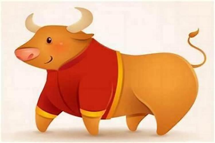 八字哪里看婚姻状况 生辰八字查前世姻缘？