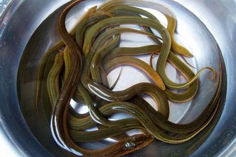 南京豪宅的房主拖欠银行2300万房贷,为何毫不知情呢？