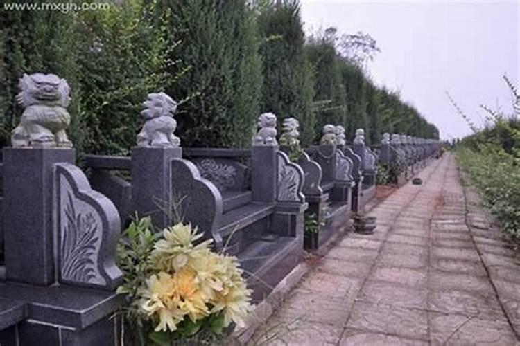 女人梦见路过一片坟地什么意思