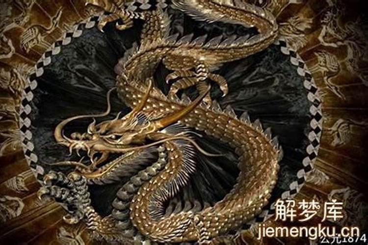 今年犯太岁的属相有哪些？