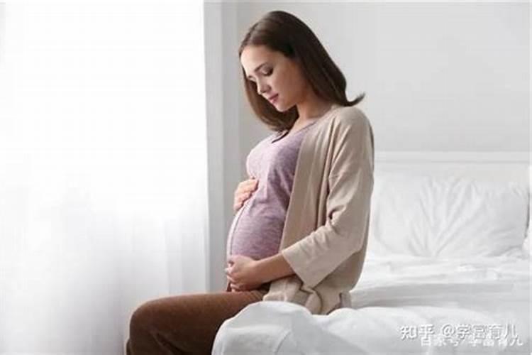 怀孕初期梦见两条蛇是什么意思？