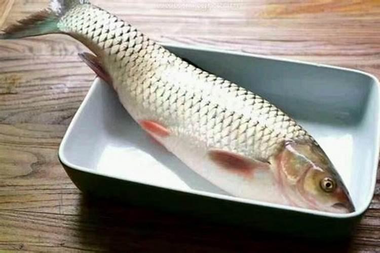 梦见鱼在天上飞是什么意思