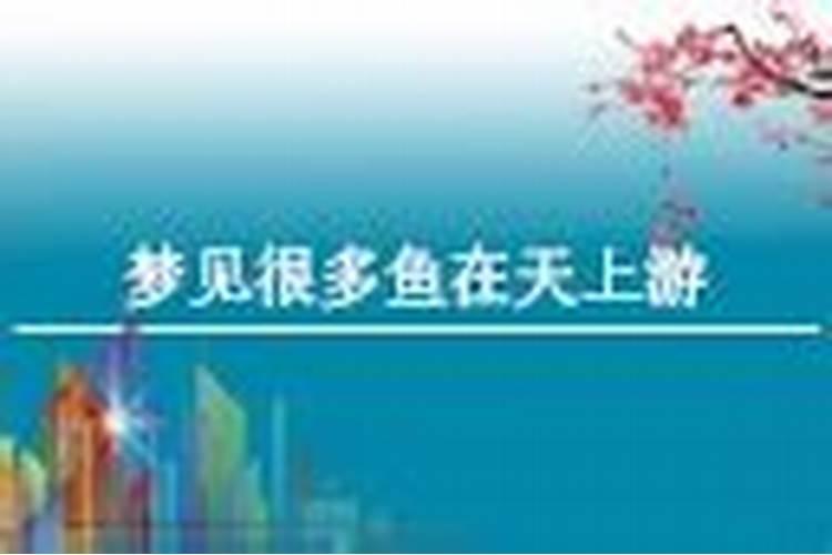 周公解梦梦见鱼在天上飞是什么意思梦见鱼在天上飞的寓意