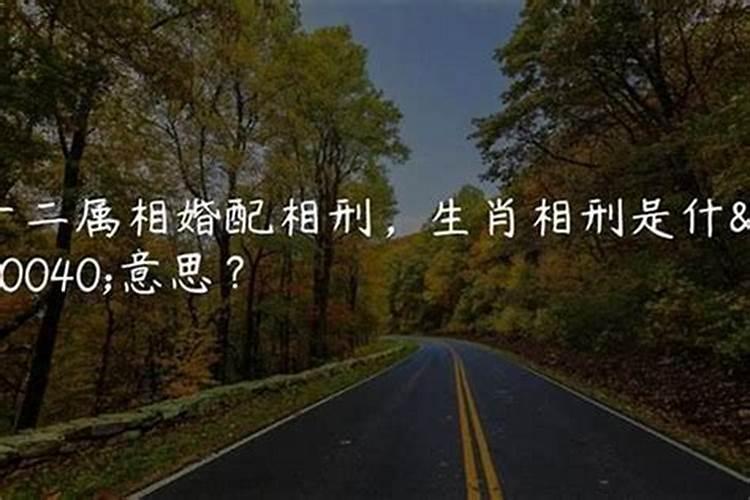 鸡狗属相结婚的后果