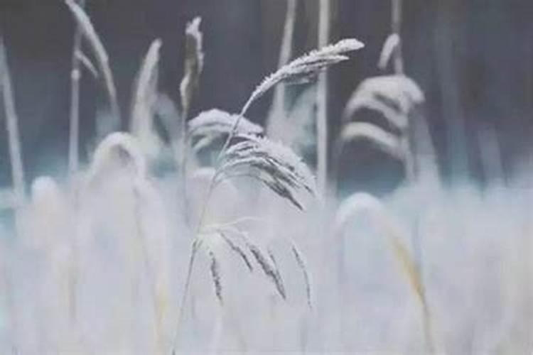中国四大鬼节是哪四个？