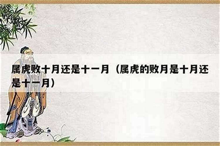 属兔和属虎的婚姻相配吗 虎和兔合不合？