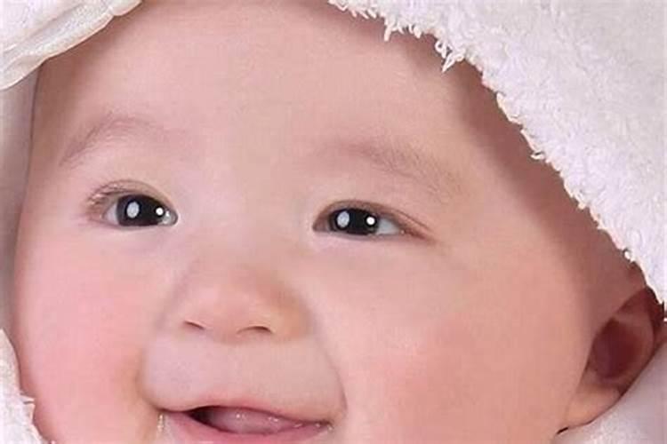 梦见好几个小孩子的预兆