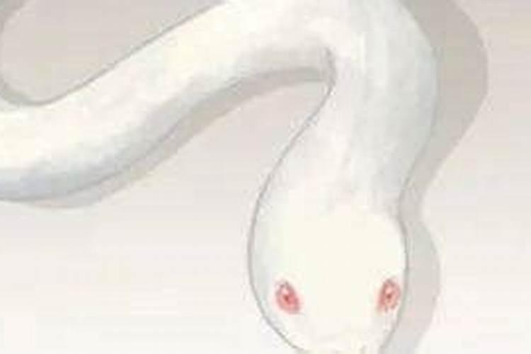 女人梦见蛇肯定是怀孕 女人梦见蛇是不是怀孕