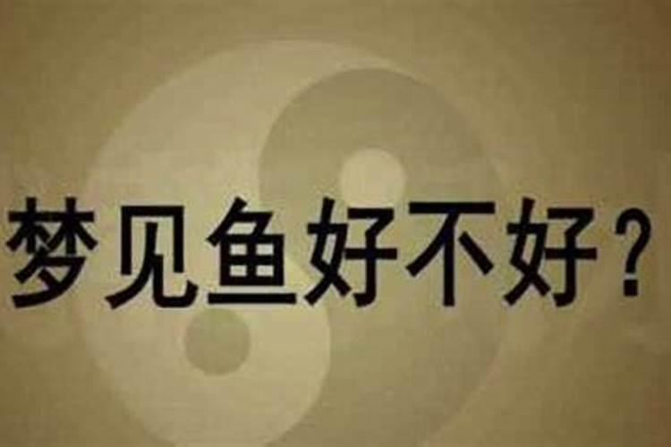 女人梦见鱼是什么意思