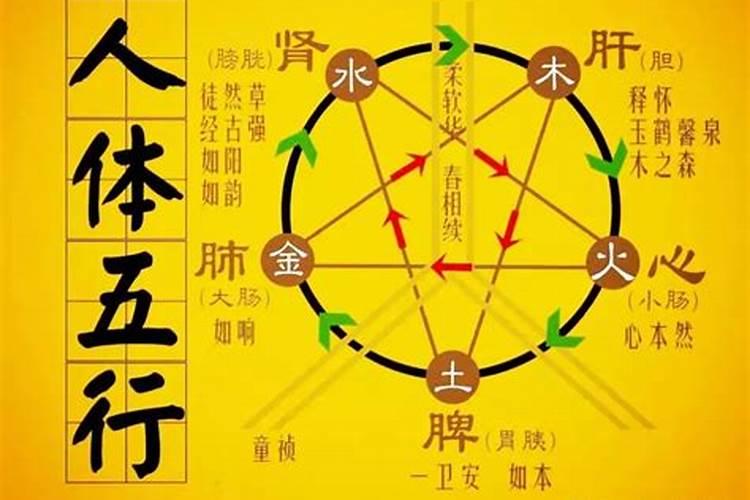 八字疾病详解