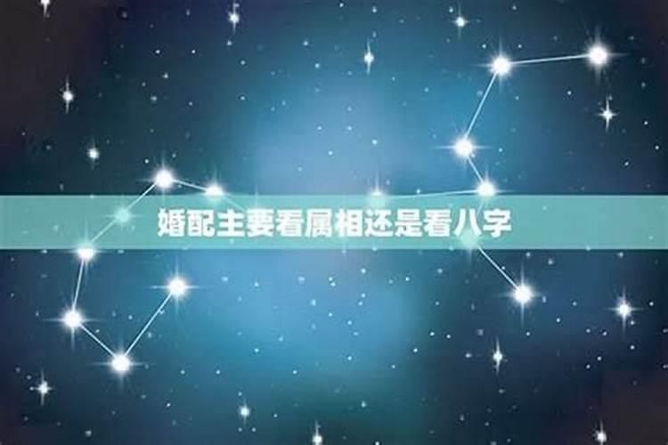 书写结婚请帖时丧偶或离婚后单身的下面能不能写“合福”？