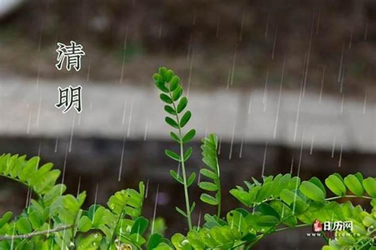清明节几天三薪
