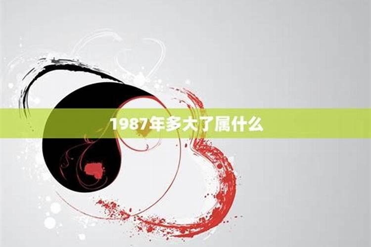 2025年兔运势运程1987年的兔