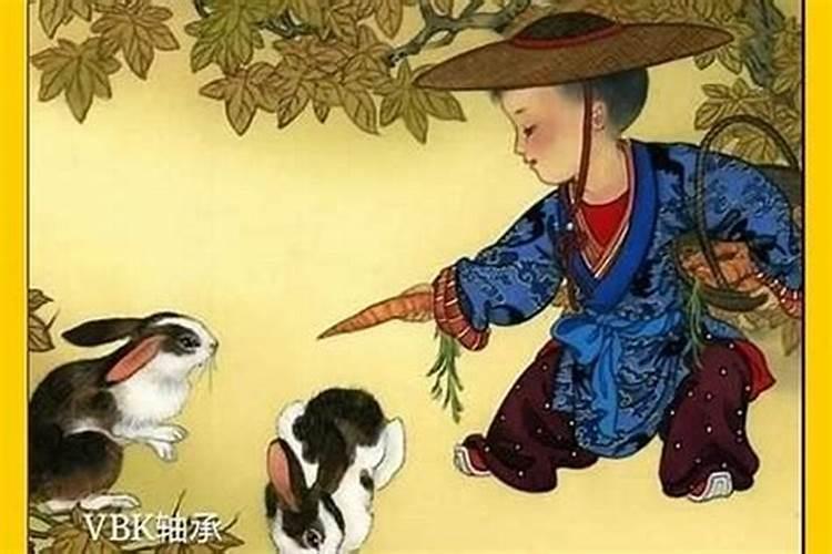 1987年兔2025年运势
