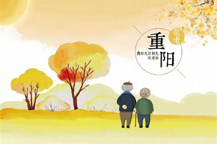 八字轻是什么意思啊