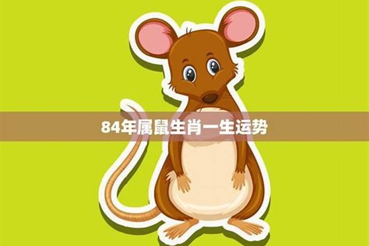 84年属鼠一生大劫年84年苦命鼠35岁婚姻