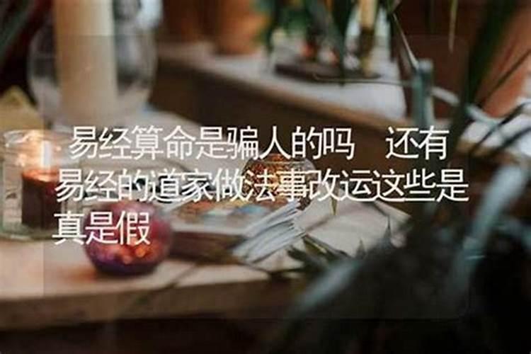 农历2025年属什么年