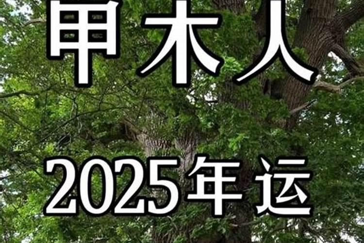 九曜星九星运程