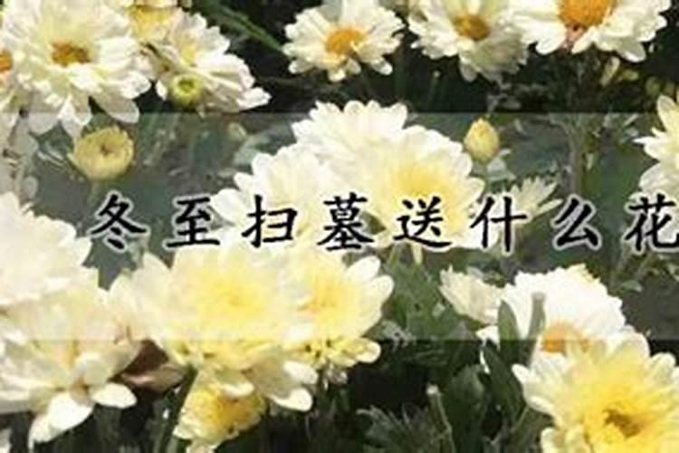 祭祖是清明节好还是冬至好今年冬至祭祖什么时候可以