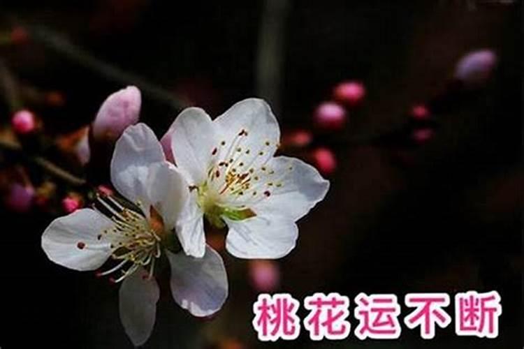 官星受合是什么意思