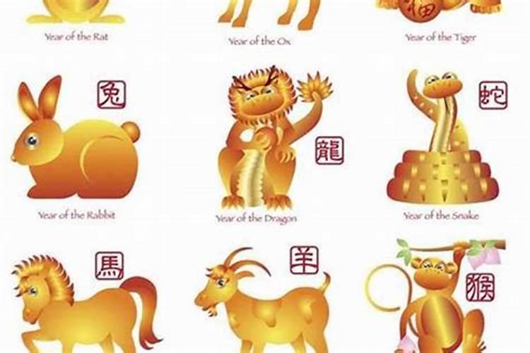 2025属蛇的好不好 属蛇人2025综合运势如何