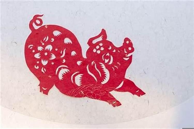 属猪的今年运势如何