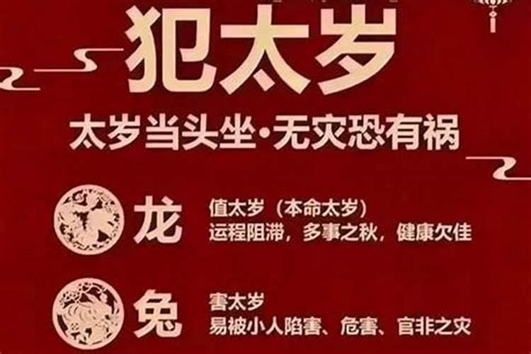 梦到表妹是什么预兆