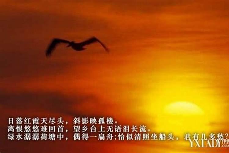 93年农历十月初一未时出生的女子命运如何