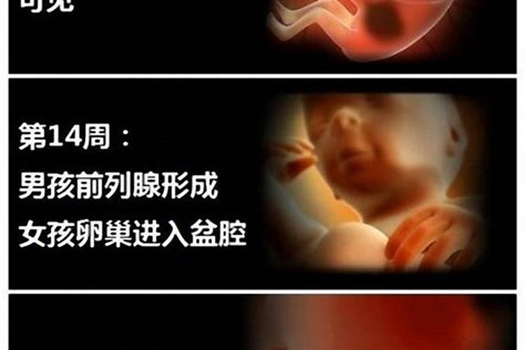 元宵节的历史典故