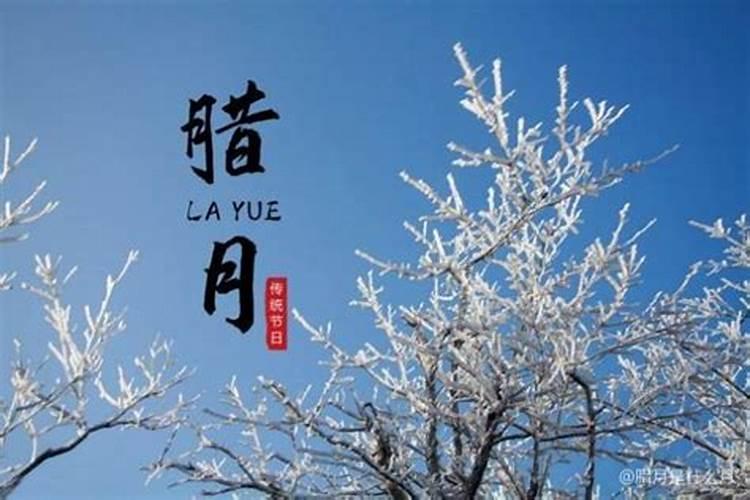 生肖鼠1972年2025年运势如何 生肖鼠1972年2025年全年运势