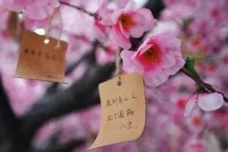 81年农历正月15早上2点出生男孩是什么命