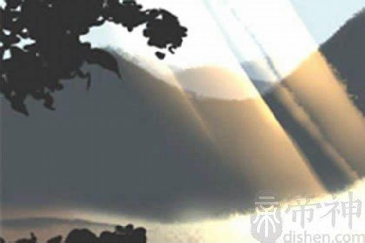 梦见有人被分尸