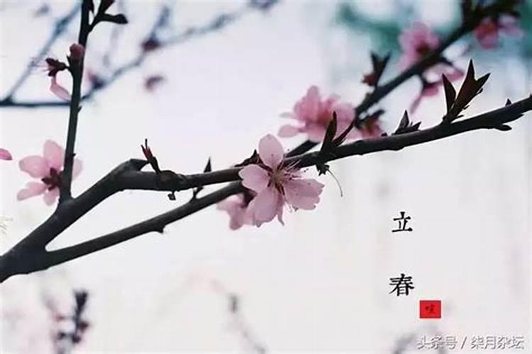 什么样的婚姻才是幸福的婚姻