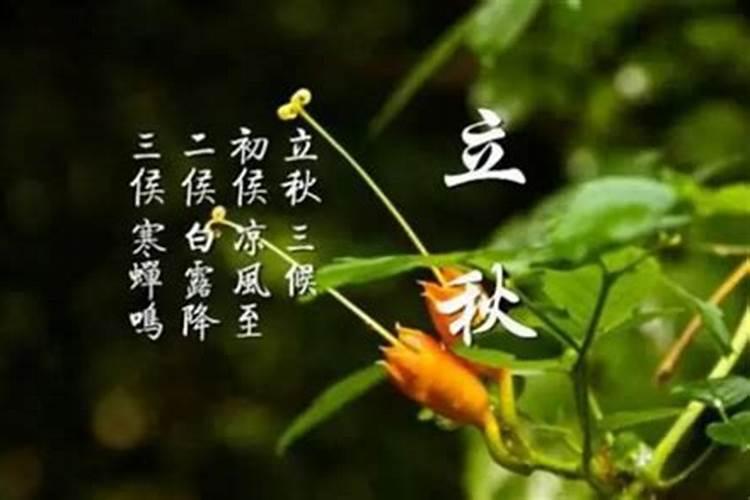 为什么说童子命不能随便告诉别人呢？
