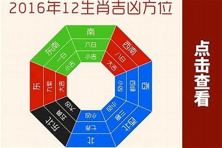 生肖运程 1977年属蛇未来5年大运？