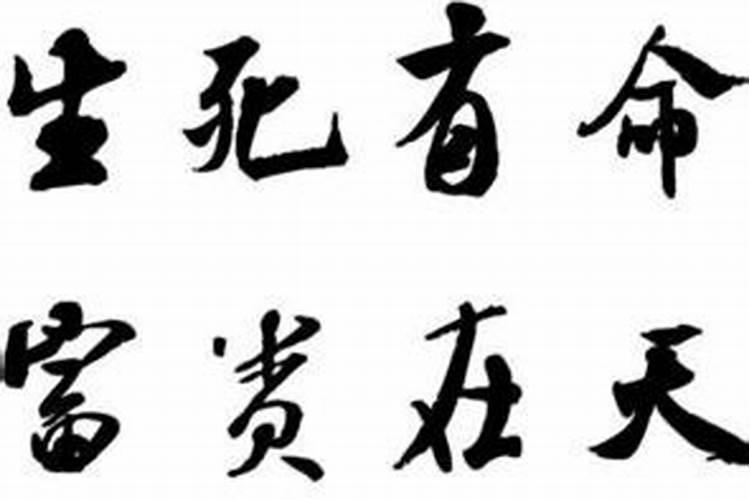 女命,庚午年,丙戌月,丁未日,己酉时,这个婚姻怎么样？怎么看望前辈指点一...