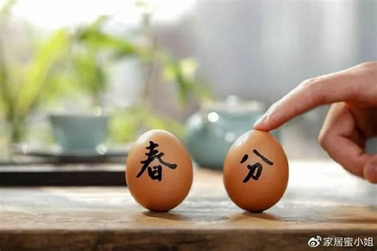 立春立蛋还是春分立蛋